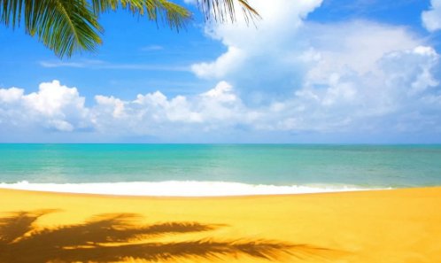 梦里吻的脸却来不到我身边什么歌