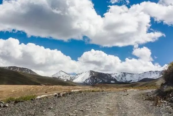 心之所向什么意思