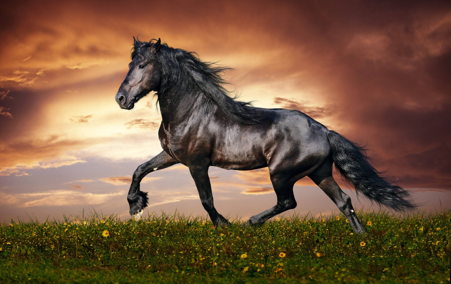 一览无遗打一生肖