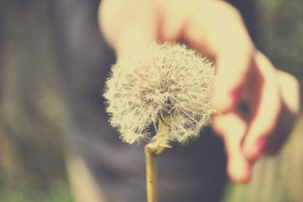 占为己有是什么意思