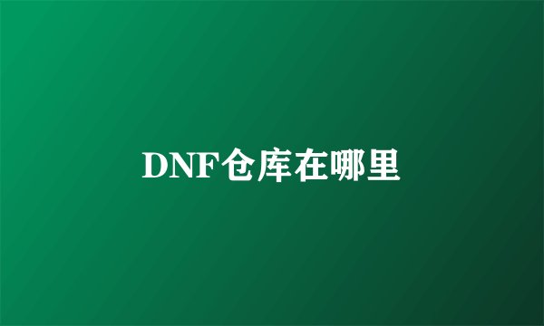 DNF仓库在哪里