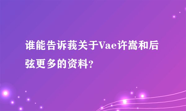 谁能告诉莪关于Vae许嵩和后弦更多的资料？