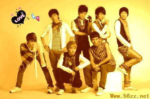 昆虫组合的简介