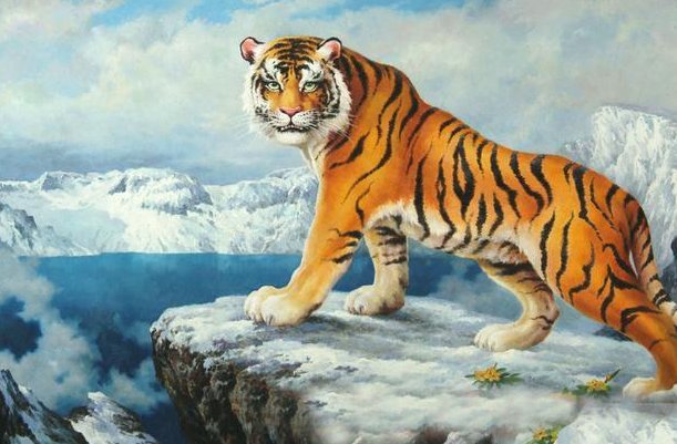 缄舌闭口什么意思什么生肖