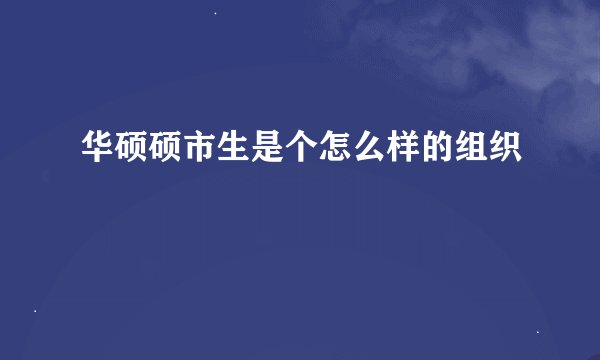 华硕硕市生是个怎么样的组织