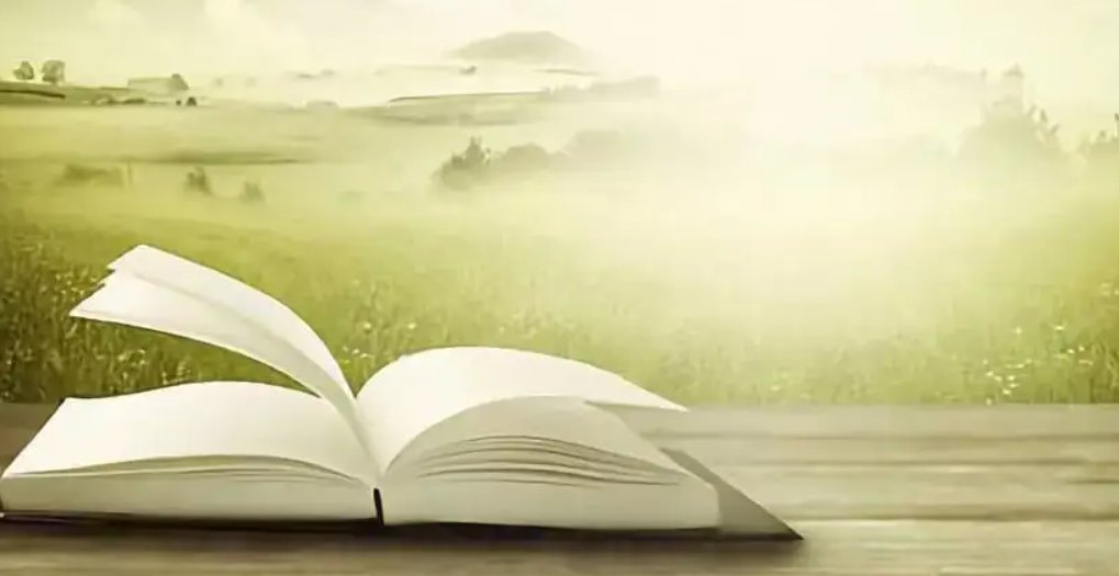 一席是什么意思