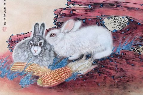 月晕主风的生肖最佳答案