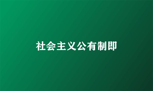 社会主义公有制即