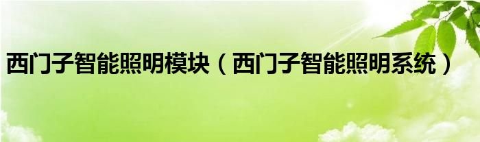 西门子智能照明模块西门子智能照明系统