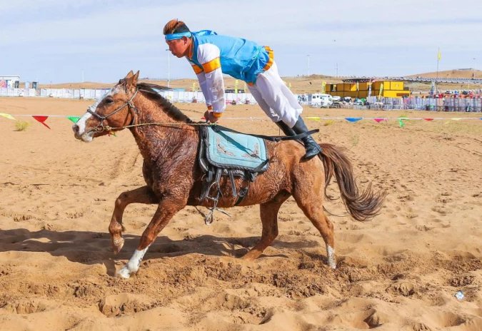 legup什么意思中文