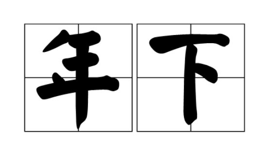 年下攻什么意思呀？
