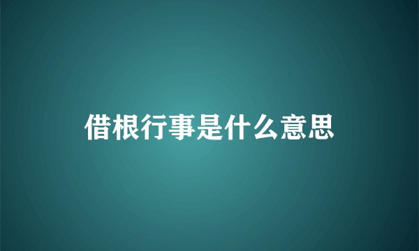 借根行事是什么意思