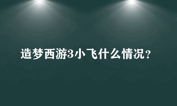 造梦西游3小飞什么情况？