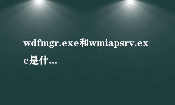 wdfmgr.exe和wmiapsrv.exe是什么进程? 三六零问答