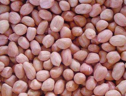 米的妈妈是谁？ 米的爸爸是谁？ 米的爱人是谁？ 米的外婆是谁？ 米的外公是谁？ （脑筋急转弯）