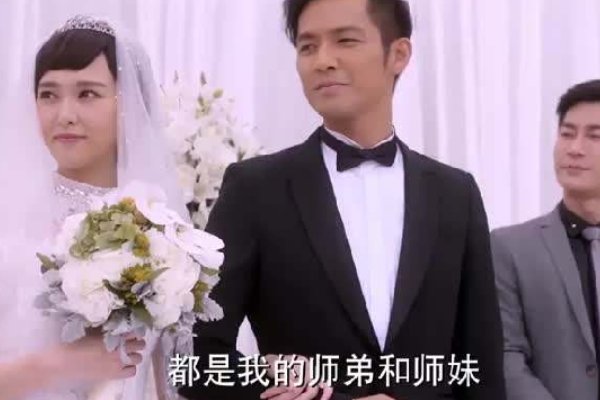 奈何情深向来缘浅原句是什么?