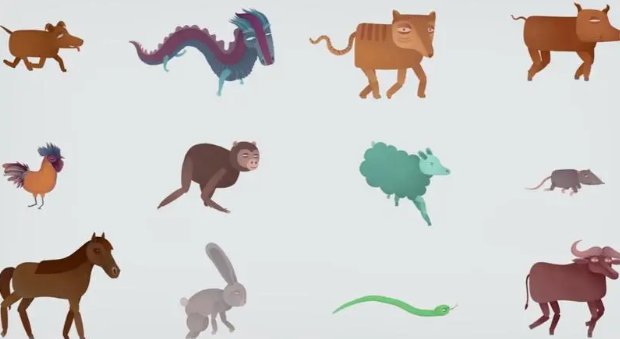 步步为营打一最佳生肖