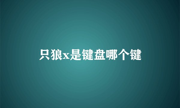 只狼x是键盘哪个键