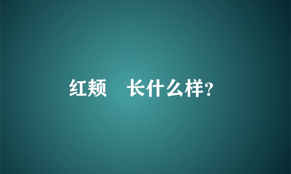红颊獴长什么样？