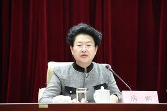 房俐的人物履历