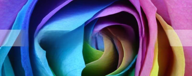 永乐大典是在哪里编成的