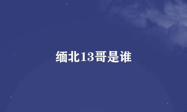 缅北13哥是谁