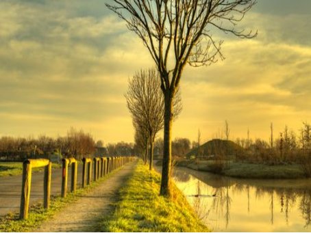 怎样知道有谁把我设为特别关心了？