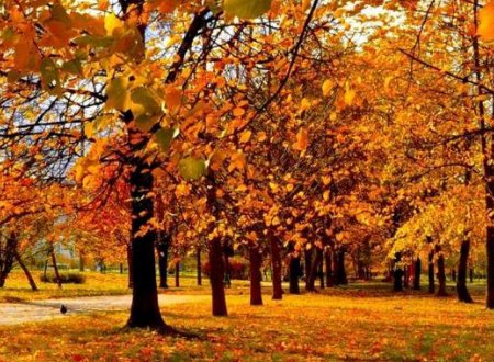 请你在文中的括号内填上合适的词。()的季节