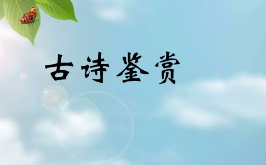 二十四诗品的作者是谁？