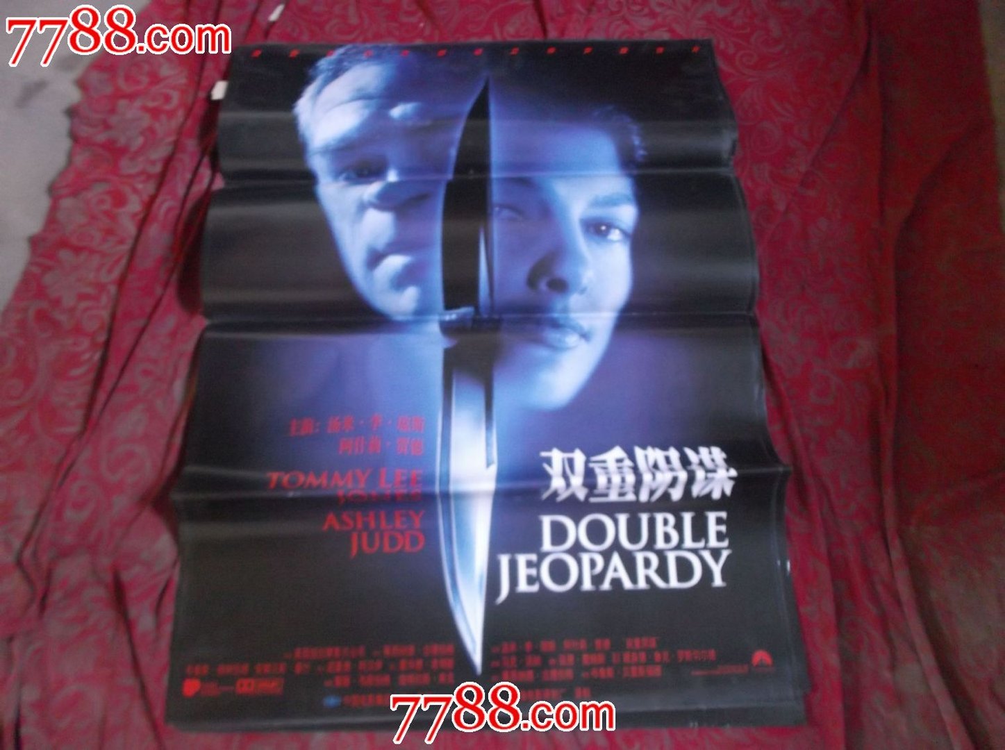 双重阴谋的介绍