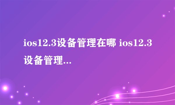 ios12.3设备管理在哪 ios12.3设备管理在什么位置