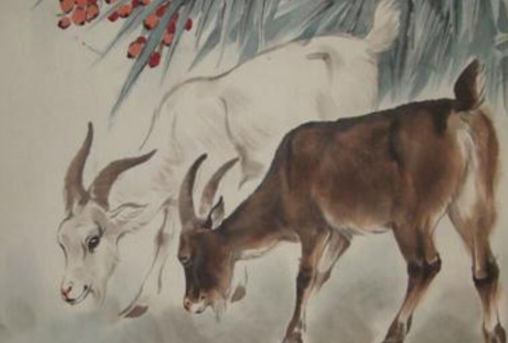 宿将旧卒指一生肖