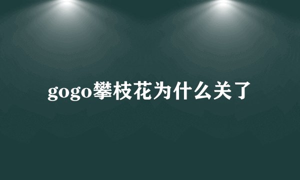 gogo攀枝花为什么关了