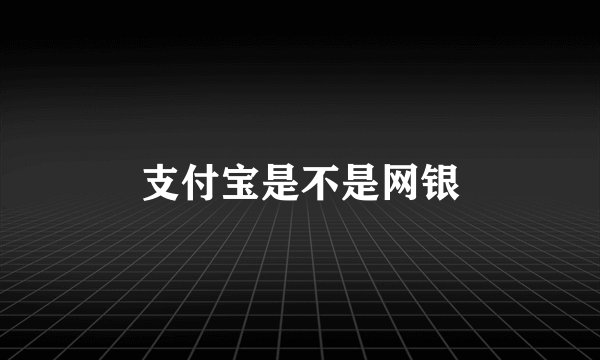 支付宝是不是网银