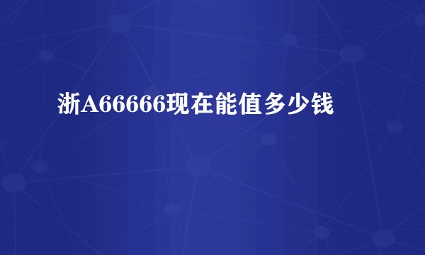 浙A66666现在能值多少钱