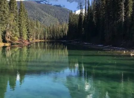 又什么又什么填空一年级怎么写？