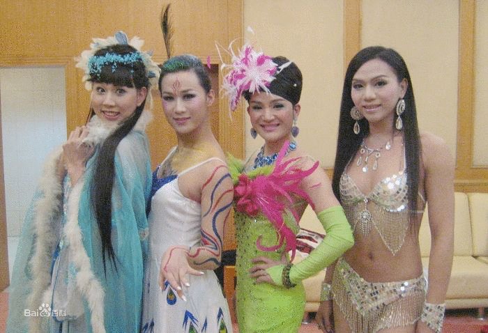 反串黛玉的介绍