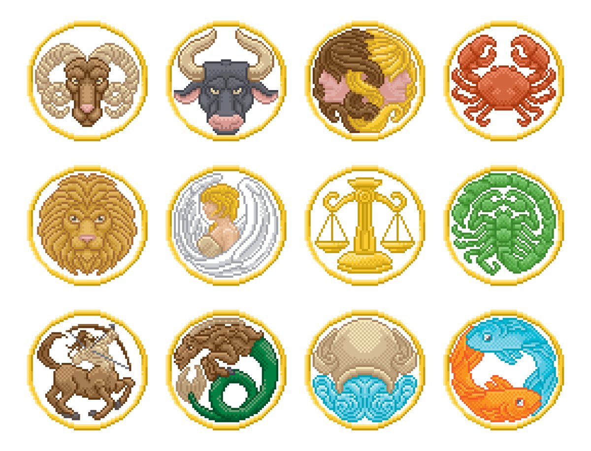 皮开肉绽猜一猜生肖