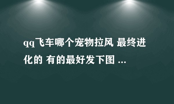 qq飞车哪个宠物拉风 最终进化的 有的最好发下图 不胜感激