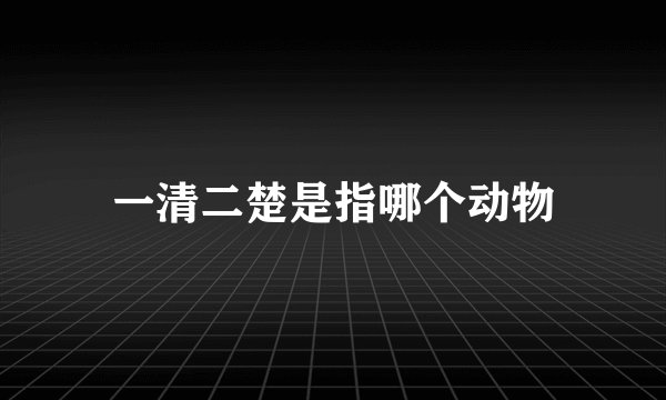 一清二楚是指哪个动物