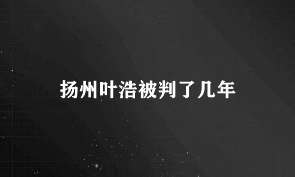 扬州叶浩被判了几年