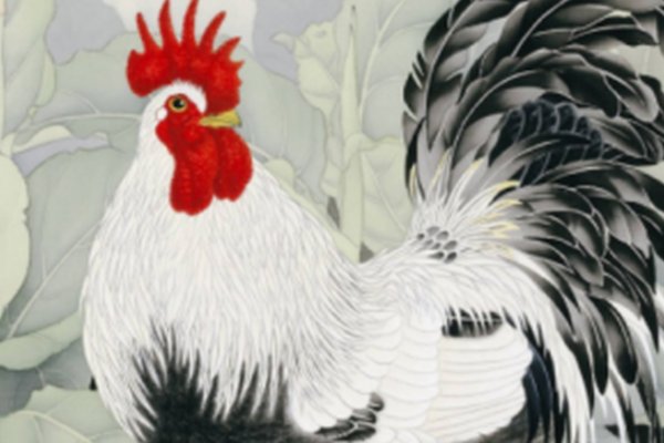 五里云雾怎么解释生肖