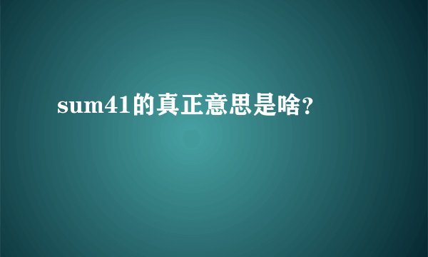 sum41的真正意思是啥？