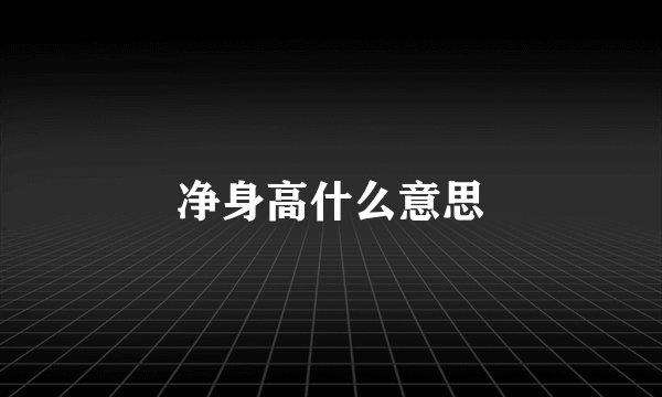 净身高什么意思