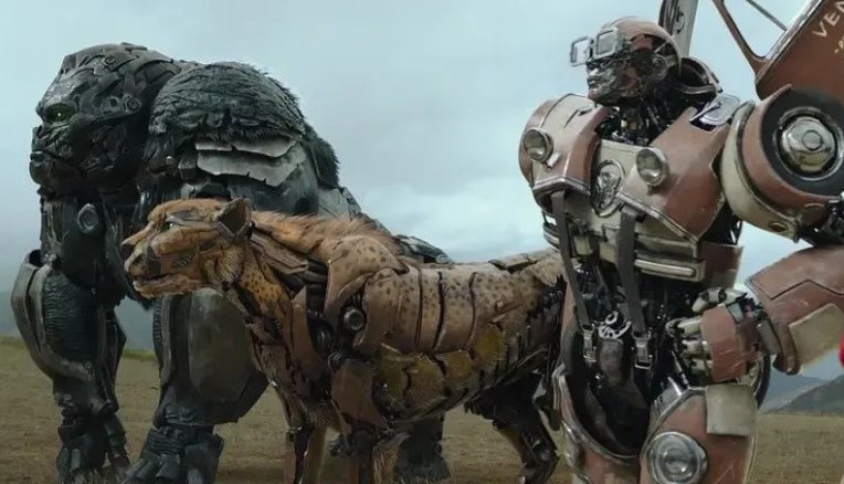 变形金刚2023上映时间