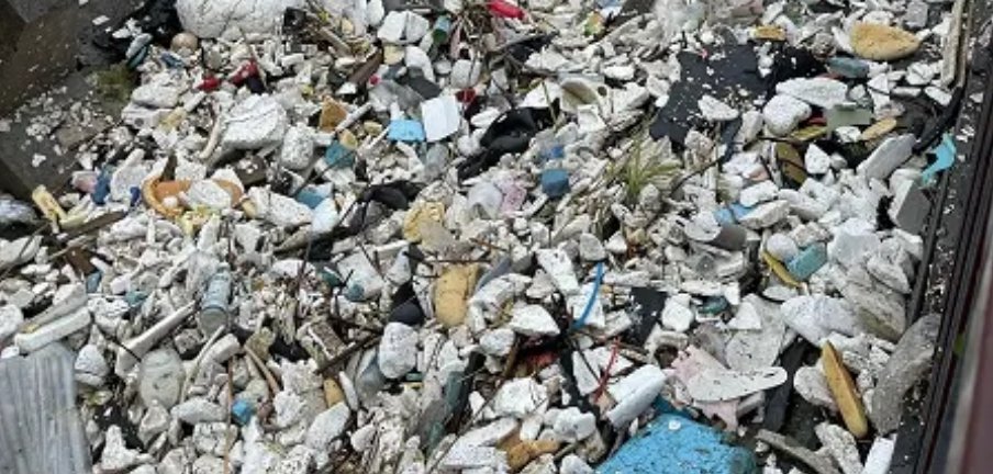 “烟花”过境后千米江堤变垃圾堆场，为何会出现这种情况？