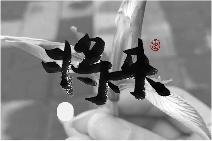 “将”可以组成哪些词？