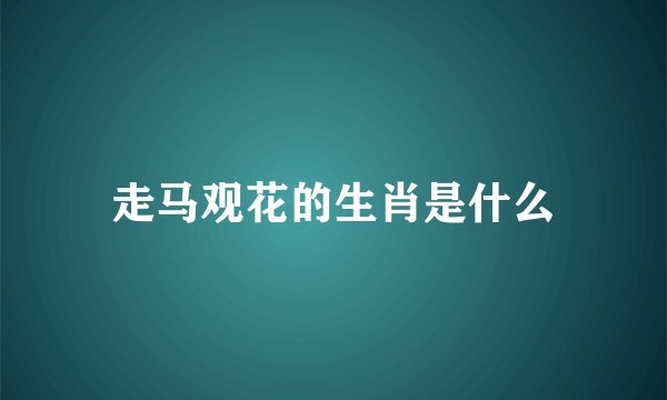 走马观花的生肖是什么