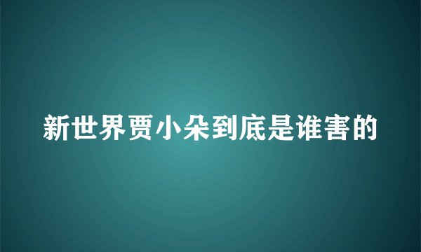新世界贾小朵到底是谁害的