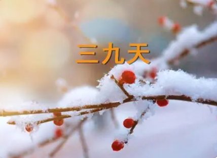 三九天时间表